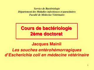 Jacques Mainil Les souches entérohémorragiques d’Escherichia coli en médecine vétérinaire