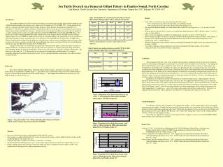 Sea Turtle Bycatch in a Demersal Gillnet Fishery in Pamlico Sound, North Carolina