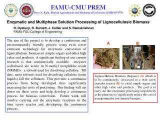 FAMU-CMU PREM Peter N. Kalu, Florida Agricultural and Mechanical University, DMR 0351770