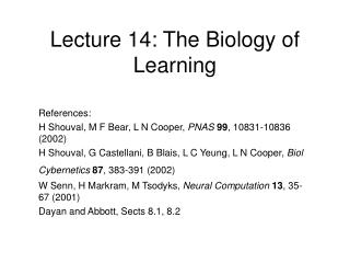 Lecture 14: The Biology of Learning