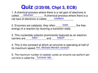 Quiz (2/20/08, Chpt 3, ECB)