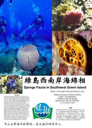 綠島西南岸海綿相