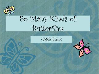So Many Kinds of Butterflies