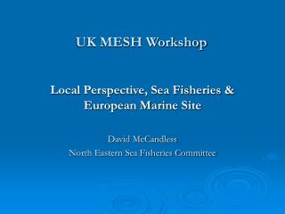 UK MESH Workshop