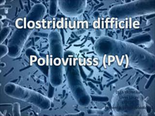 DITS skolotājas Līvas Lāces Ll12093 Prezentācija mikrobioloģijā