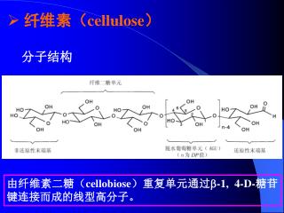 纤维素（ cellulose ）