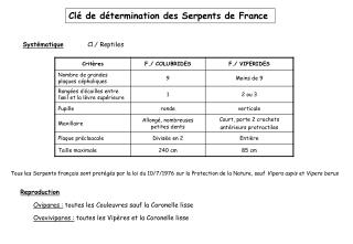 Clé de détermination des Serpents de France