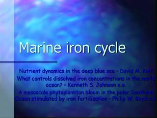 Marine iron cycle