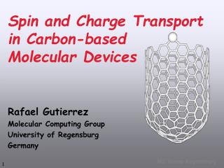 Spin and Charge Transport in Carbon-based Molecular Devices