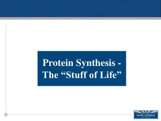 Protein Synthesis - The “Stuff of Life ”