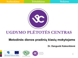 Metodinės dienos pradinių klasių mokytojams Dr. Danguolė Kalesnikienė