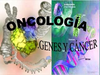 ONCOLOGÍA