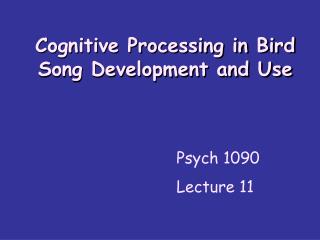 Cognitive Processing in Bird Song Development and Use
