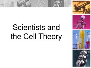 Scientists and the Cell Theory