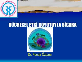 HÜCRESEL ETKİ BOYUTUYLA SİGARA