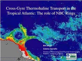 Cross-Gyre Thermohaline Transport in the Tropical Atlantic: The role of NBC Rings