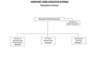 Assistant Chief Executive