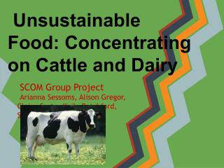 Unsustainable Food: Concentrating on Cattle and Dairy