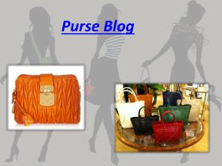 Purse Blog