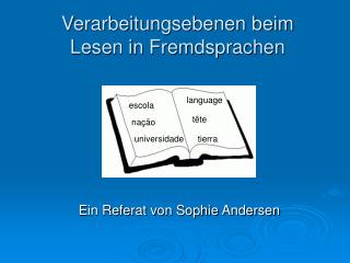 Verarbeitungsebenen beim Lesen in Fremdsprachen