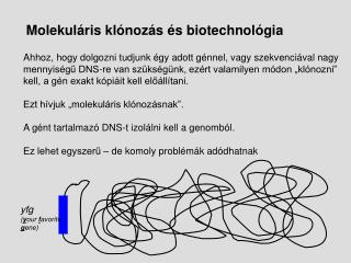 Molekuláris klónozás és biotechnológia