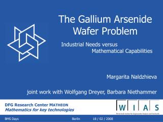 The Gallium Arsenide Wafer Problem
