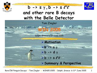 b -&gt; s g , b -&gt; s l + l - and other rare B decays with the Belle Detector