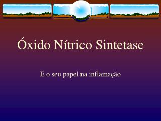 Óxido Nítrico Sintetase