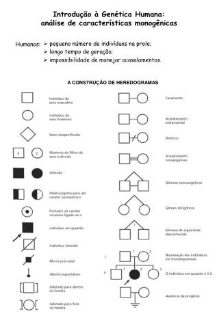 Introdução à Genética Humana: análise de características monogênicas