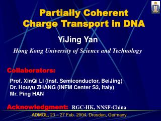 Partially Coherent Charge Transport in DNA