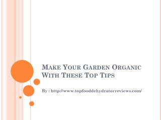 Make Your Garden Organic With These Top Tips