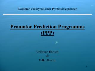 Promotor Prediction Programms (PPP)