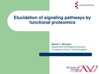 Elucidation of signaling pathways by functional proteomics