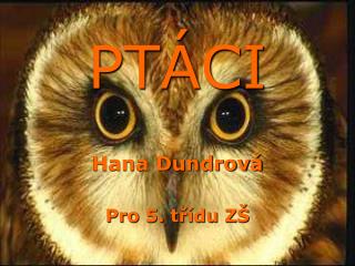 PTÁCI