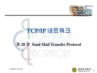 TCP/IP 네트워크