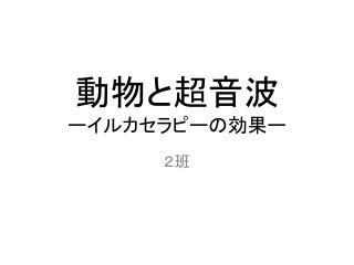 動物と超音波 ーイルカセラピーの効果ー　　　　　