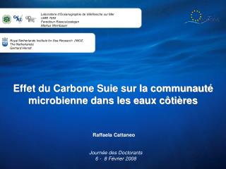 Effet du Carbone Suie sur la communauté microbienne dans les eaux côtières