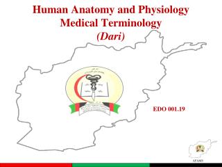 Human Anatomy and Physiology Medical Terminology (Dari)
