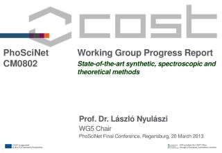 Working Group Progress Report State-of-the-art synthetic, spectroscopic and theoretical methods