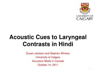 Acoustic Cues to Laryngeal Contrasts in Hindi