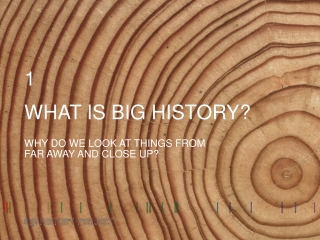 WHAT IS BIG HISTORY?