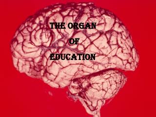 THE ORGAN of EDUCATION
