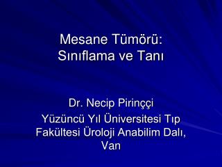 Mesane Tümörü: Sınıflama ve Tanı