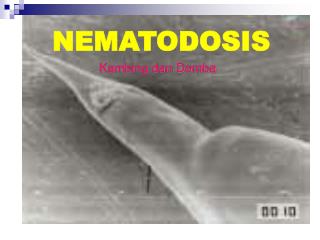 NEMATODOSIS