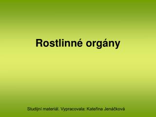 Rostlinné orgány