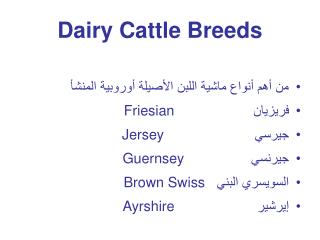 Dairy Cattle Breeds