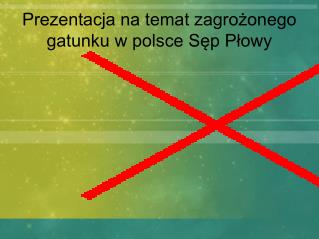 Prezentacja na temat zagrożonego gatunku w polsce Sęp Płowy
