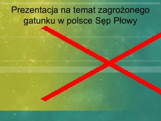 Prezentacja na temat zagrożonego gatunku w polsce Sęp Płowy