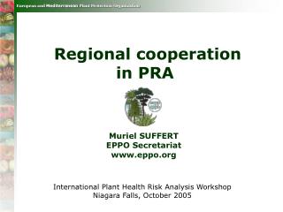 Regional cooperation in PRA