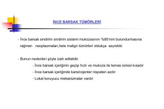 İnce barsak sindirim sindirim sistemi mukozasının %80’nini bulundurmasına